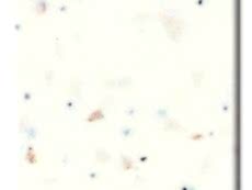 Romantic-krup-chip